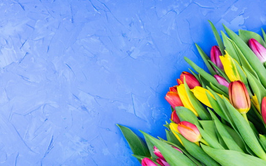 1456161 (a): :2880x1800